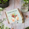 BLOSSOMBS Semínkové bomby Dárkový box Kytice 9 ks