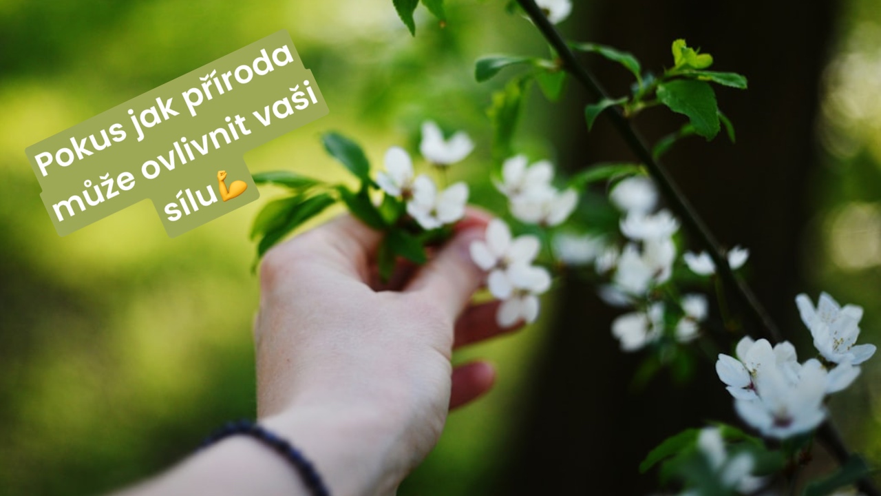 Pokus jak příroda může ovlivnit vaši sílu