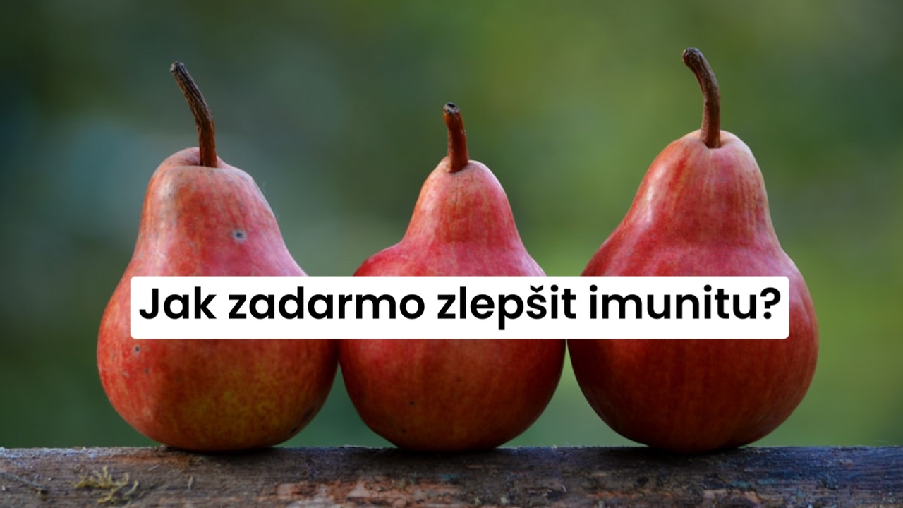 Jak zadarmo zlepšit imunitu?