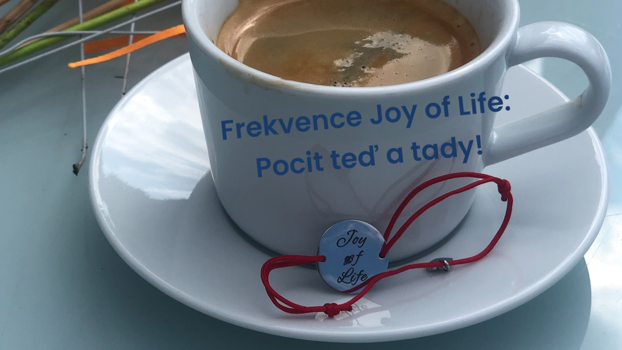 Frekvence Joy of Life: Pocit teď a tady