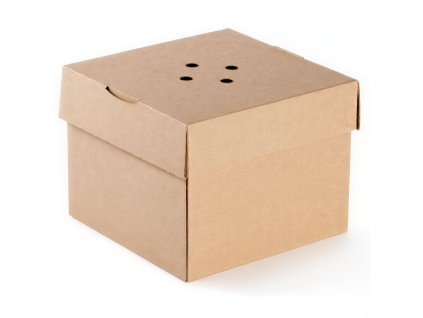 7T0 Xd ONfE6 KZryB G