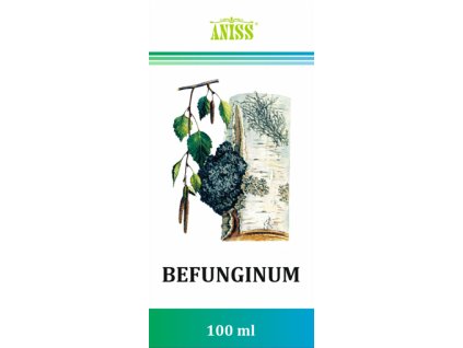 Befungin original čaga