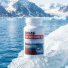 Wild Arctic Calanus Oil