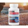Moana - Wild Arctic Calanus Oil 60 kapsúl