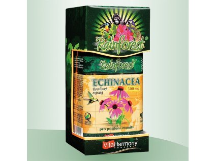 Echinacea