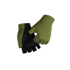 SummerGlovesThymeGreen