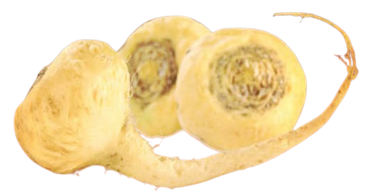 maca-červená-obrazek-2