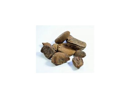 1182 kolovy orech cely cola acuminata 100g