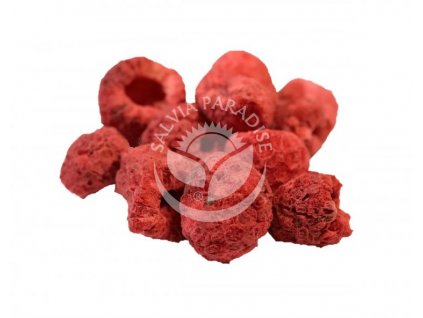 1443 maliny susene mrazem lyofilizovane 20g salvia paradise