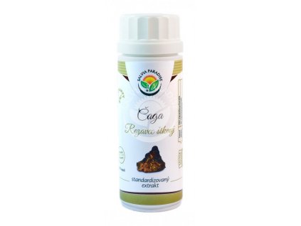 1797 caga chaga extrakt 40 polysacharidu 100 veg kaps a 350mg salvia paradise