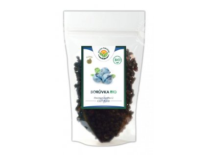 2265 boruvka plod bio 100g salvia paradise