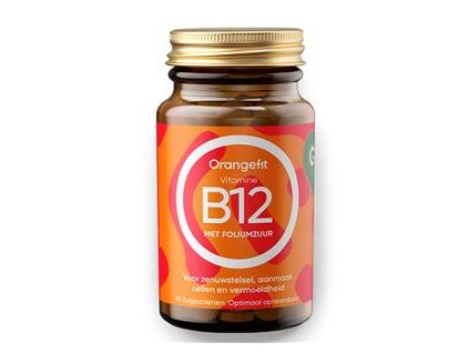Vitamine B12 with Folic Acid 90 pastilek Orangefit