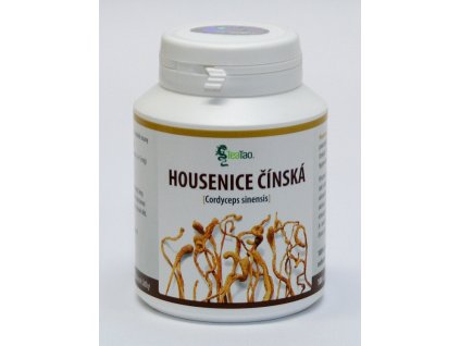 411 housenice cinska cordyceps sinensis teatao