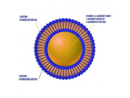 Liposomal Vitamin C 500mg 100ml (Lipozomální C)