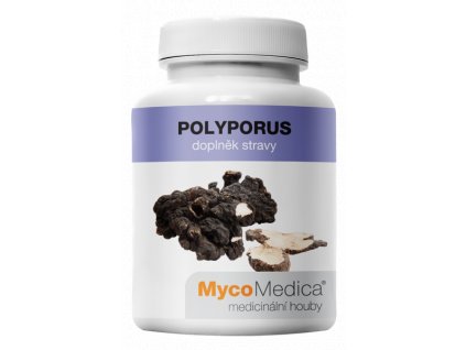 882 polyporus 90 kapsli a 500mg extraktu mycomedica