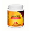 Cordyceps Extrakt Extra Strong, 90 Vkaps á 500mg, SuperionHerbs