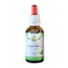 2721 salvia paradise jiaogulan thailand af tinktura 50 ml