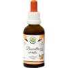 2883 boswellia serrata kadidlovnik af tinktura 50 ml salvia paradise