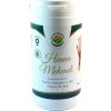 3216 henna prasek barva na vlasy ruce a nohy 150g salvia paradise