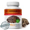 Coriolus 50% 90 kapslí MycoMedica biorenesance