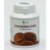 414 reishi ganoderma lesklokorka 120kps 30g 100 sporovy prasek teatao