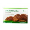 417 reishi ganoderma lesklokorka 100g 100 sporovy prasek teatao