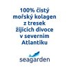 4804 4 marine collagen vitamin c 30 x 5g citron