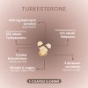 5599 2 turkesterone 60 kapsli