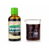 600 graviola anona guanabana tinktura 50 ml