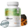 Chaga PRO Mycomedica