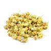 465 kotvicnik tribulus plod 80g salvia paradise