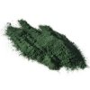 837 spirulina 100 prasek bio 100 g