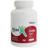 CHAGA 1 e1652869695257 1 300x538