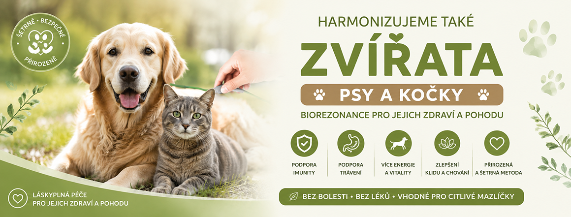 Harmonizujeme zvířata psy a kočky