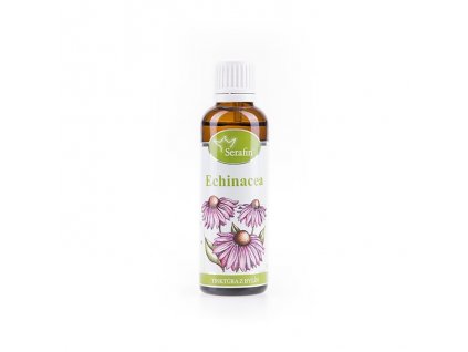 echinacea tin z byl serafin