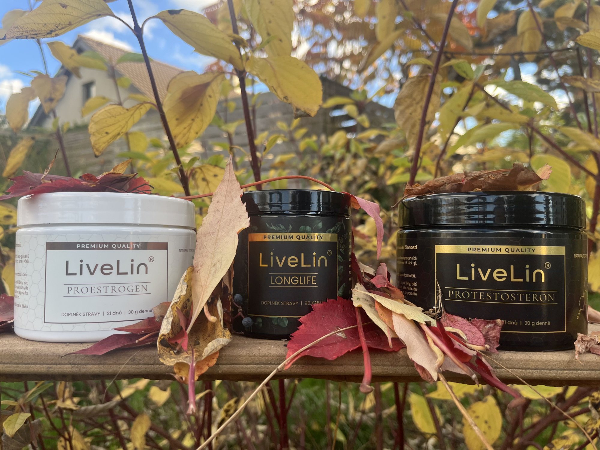 Podzimní symfonie barev a imunity: Jak se s úsměvem probudit do chladného rána?