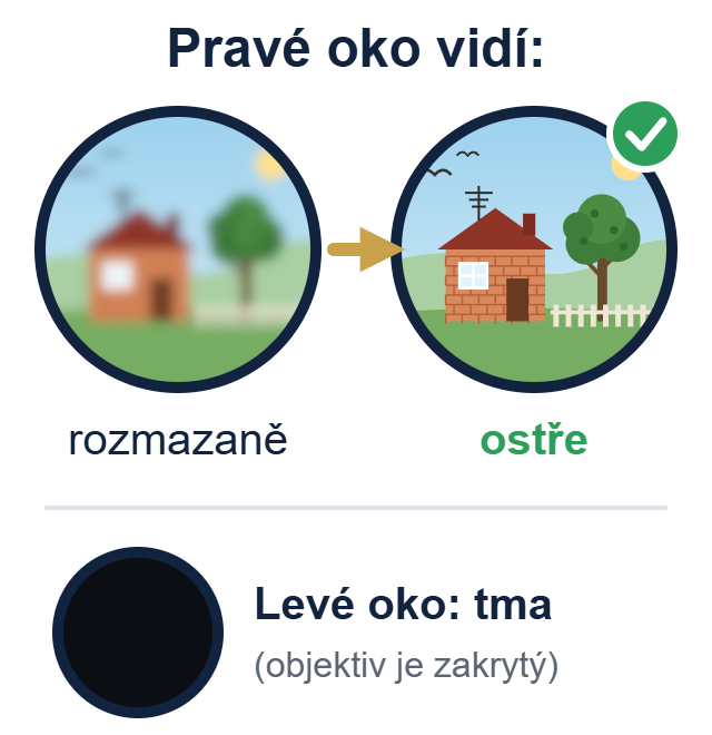 Pravé oko vidí nejdřív rozmazaně a po otočení dioptrickým kroužkem ostře, levé oko vidí tmu