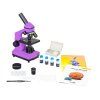 69092 levenhuk rainbow 2l plus amethyst 03 cz