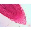 levenhuk n80 ng dop09 Root cap