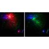 78768 levenhuk labzz sp20 white planetarium 02