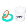 79650 discovery basics cn5 bug jar 01
