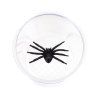 79650 discovery basics cn5 bug jar 02