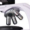 83040 magus pol d800 microscope digital 08