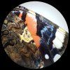 76449 bresser analyth str 10 40x stereo microscope 05