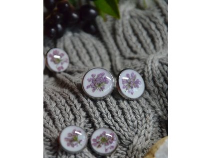 Pecky růžový kerblík