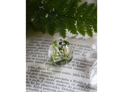 Kulička se snědkem a kapradinami