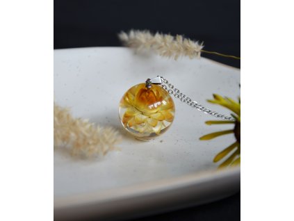 Kulička žlutá slaměnka