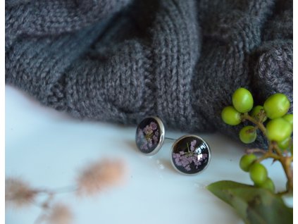 Pecky růžový kerblík