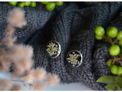 Pecky s bílým kerblíkem