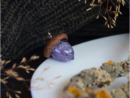 Žalud s fialovou dutohlávkou